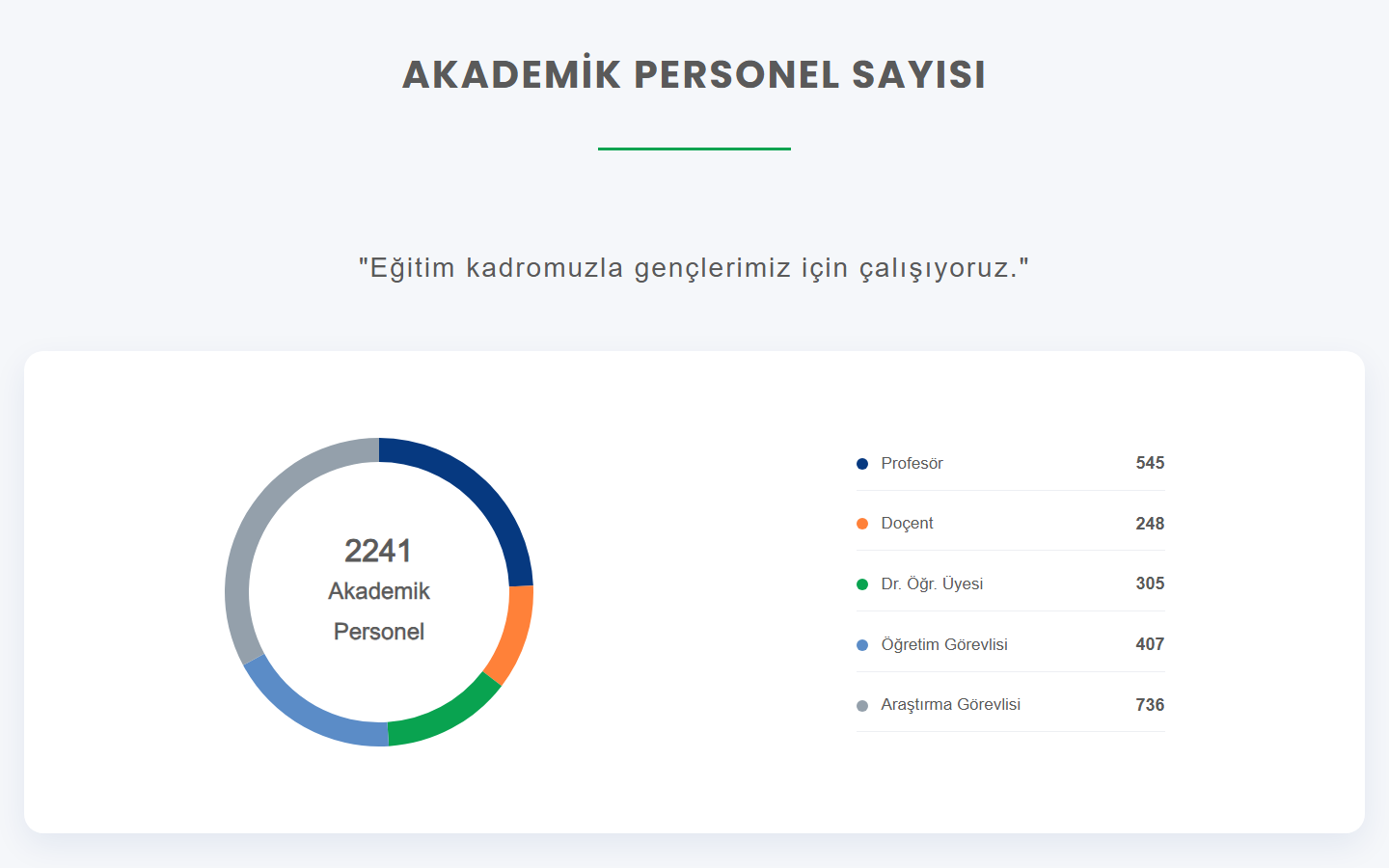 Akademik personel grafiği